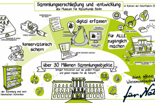 Poster zum Projekt Sammlungserschließung und -entwicklung mit grafischen Elementen, die Sammlungsobjekte darstellen