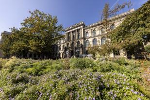 Begrünter Vorplatz des Museums für Naturkunde Berlin mit Blick auf das Hauptportal