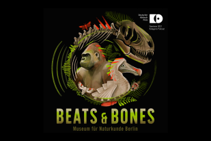beats-bones-hoerbuchpreis-web