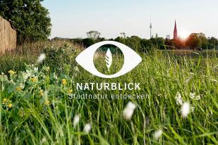 Logo of "Naturblick - Stadtnatur entdecken" on a meadow with berlin city nature and television tower in the background 