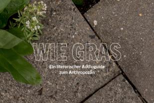 Blick von oben auf Betonboden-Platten mit einzelnen Gräsern und Kräutern, die ins Bild ragen, darüber der Text "Wie Gras. Ein literarischer Audioguide zum Anthropozän"