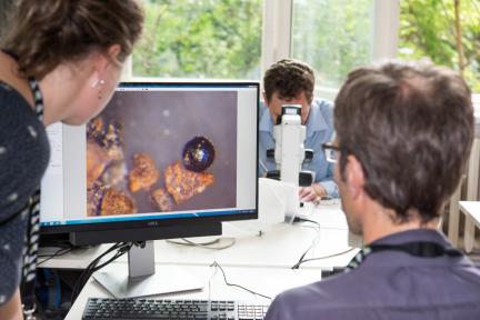 In citizen science projects, people carry out research together.
