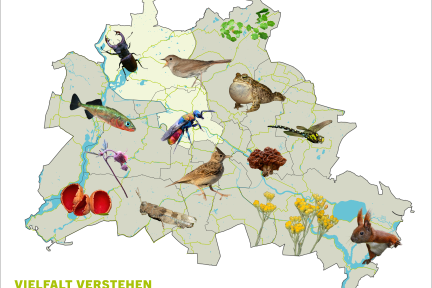 Karte von Berlin mit ausgewählten Lebewesen und einer Hervorhebung der Bezirke Mitte und Reinickendorf
