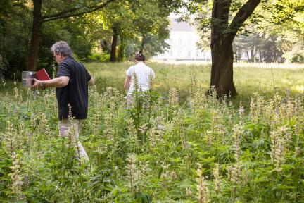 People standing in a meadow