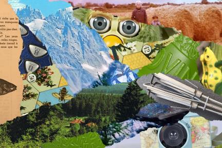 Object collage made from collection objects from Changing Natures