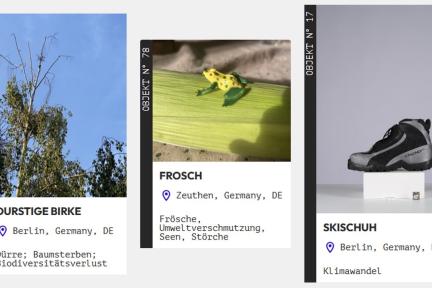 Eine Person verknüpft Objekte mit globalen Themen während einer Veranstaltung des Projekts Natur der Dinge. 