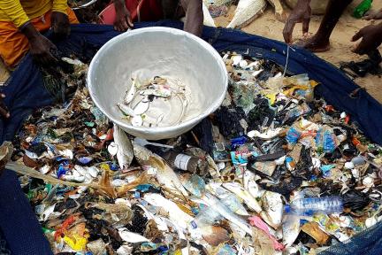 Coastal plastic and fish sorting in Accra, Ghana