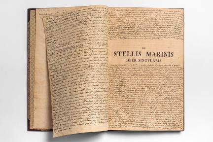 Aufgeschlagene mit Notizen versehene Seite von der Ausgabe von „De Stellis Marines“ der Bibliothek im Museum für Naturkunde, Foto: Carola Radke / MfN