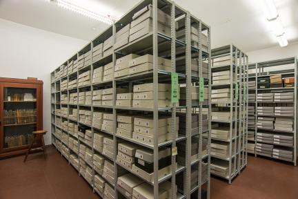 Magazinraum der Historischen Arbeitsstelle des Museums für Naturkunde Berlin