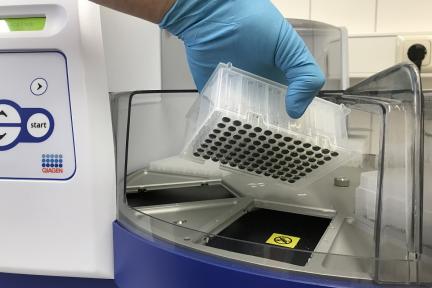 Das Biosprint-Verfahren basiert auf der Magnetpartikel-Technologie und wird zur automatisierten Isolation genomischer DNA verwendet. Foto: Museum für Naturkunde Berlin
