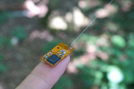 wireless sensor node for automated encounter detection and tracking of bats