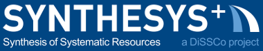 synthesys plus logo