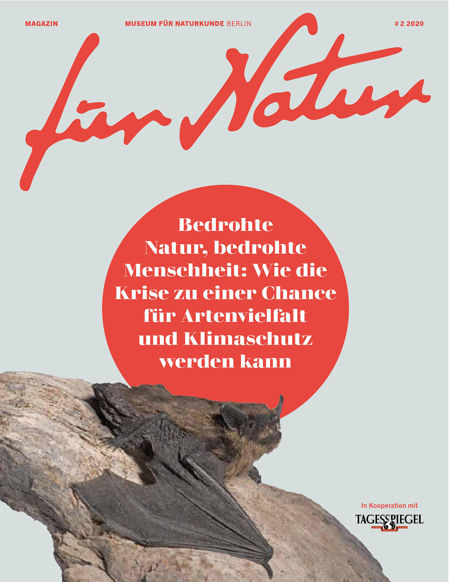 Tagesspiegel Magazin für Natur