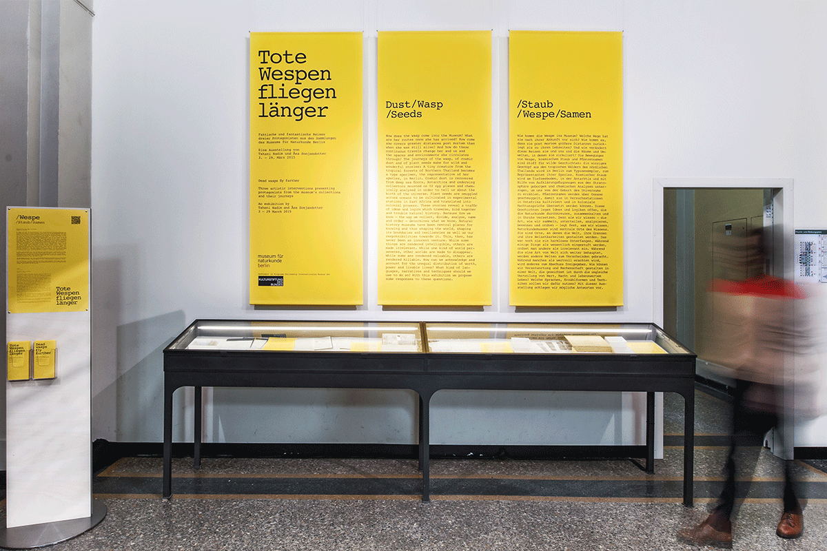 Foto: Museum für Naturkunde Das Foto gibt einen Einblick in die Ausstellung.